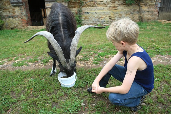 France, welcome to the farm