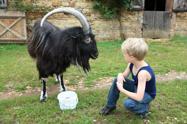 France, welcome to the farm