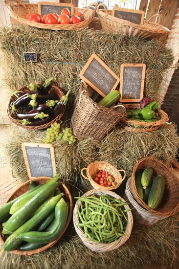 France, FERME DE LA MORICIERE