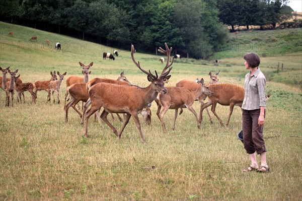 France, FERME DE LA MORICIERE