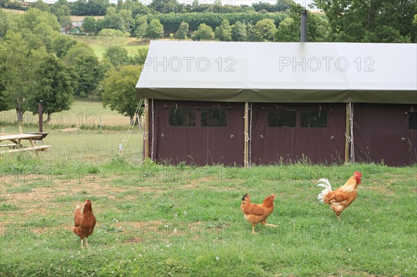 France, FERME DU MONCEL