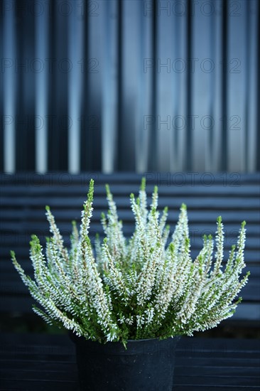 France, VILLA QUARTZ