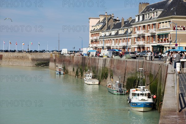 France, Haute Normandie, seine maritime, plateau de caux maritime, saint valery en caux, port, debarque et vente de la peche sur le quai, poisson, bateaux,