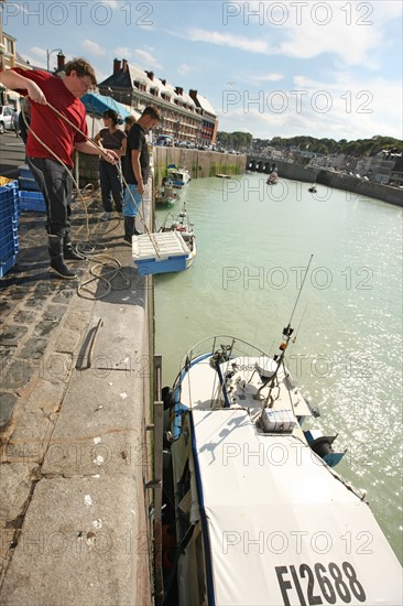 France, Haute Normandie, seine maritime, plateau de caux maritime, saint valery en caux, port, debarque et vente de la peche sur le quai, poisson, bateaux,