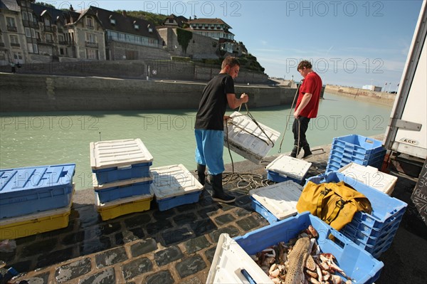 France, Haute Normandie, seine maritime, plateau de caux maritime, saint valery en caux, port, debarque et vente de la peche sur le quai, poisson, bateaux,