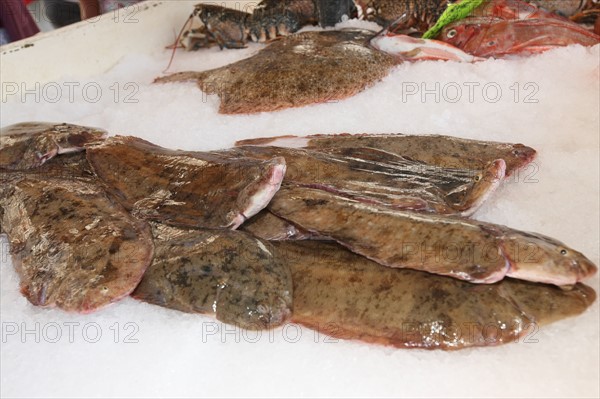 France, Haute Normandie, seine maritime, plateau de caux maritime, saint valery en caux, port, debarque et vente de la peche sur le quai, poisson, bateaux, soles,