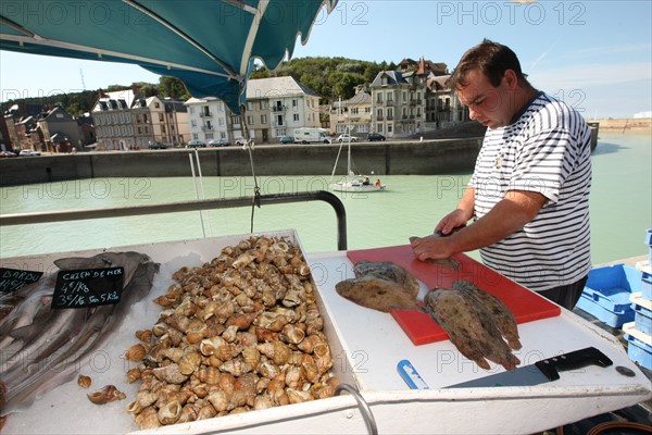 France, Haute Normandie, seine maritime, plateau de caux maritime, saint valery en caux, port, debarque et vente de la peche sur le quai, poisson, bateaux,