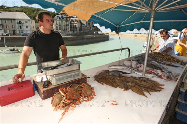 France, Haute Normandie, seine maritime, plateau de caux maritime, saint valery en caux, port, debarque et vente de la peche sur le quai, poisson, bateaux,