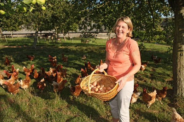 France, Haute Normandie, seine maritime, plateau de caux maritime, hautot l'auvray, le clos d'hautot, valerie petit, produits fermiers, gastronomie, agriculture,