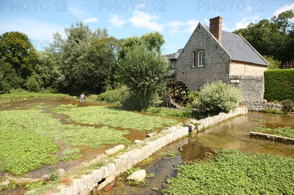 France, Haute Normandie, seine maritime, plateau de caux maritime, veules les roses, plus petit fleuve de france, cressonnieres,