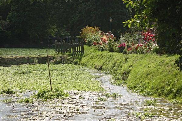 France, veules les roses