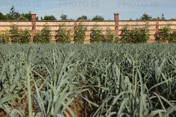 France, Haute Normandie, seine maritime, pays de caux maritime, chateau de bois himont arcaux, etablissement d'aide par le travail, maraichage et boutique de produits locaux,