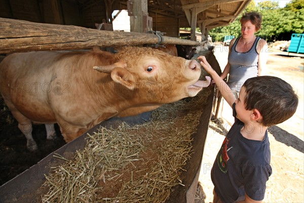 France, LA FERME NORMANDE