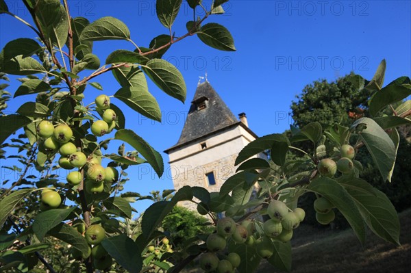 France, Arnac