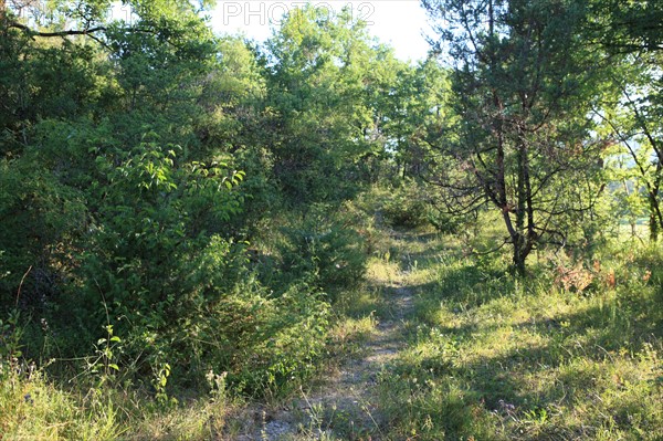 France, Arnac