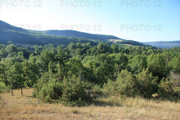 france, region midi pyrenees, tarn et garonne, varen, arnac, ferme de quyvie, sylvie et thierry bolmont,