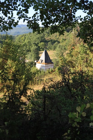 france, region midi pyrenees, tarn et garonne, varen, arnac, ferme de quyvie, sylvie et thierry bolmont, agriculture biologique, tomates, herbes aromatiques, alimentation, jardin, gite, colombier, causse, nature, herbes, vegetation,