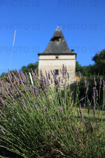 France, Arnac