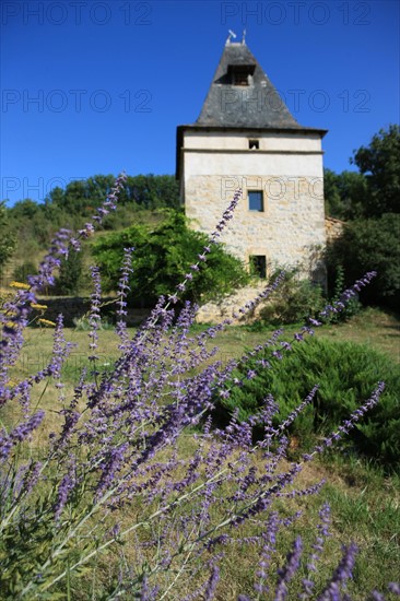 france, region midi pyrenees, tarn et garonne, varen, arnac, ferme de quyvie, sylvie et thierry bolmont, agriculture biologique, tomates, herbes aromatiques, alimentation, jardin, gite, colombier, ancien pigeonnier reconverti en hebergement saisonnier, lavande,