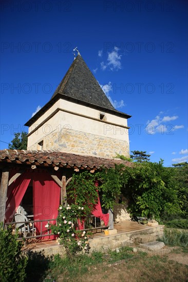 france, region midi pyrenees, tarn et garonne, varen, arnac, ferme de quyvie, sylvie et thierry bolmont, agriculture biologique, tomates, herbes aromatiques, alimentation, jardin, gite, colombier, ancien pigeonnier reconverti en hebergement saisonnier, araignee, epeire