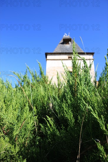 france, region midi pyrenees, tarn et garonne, varen, arnac, ferme de quyvie, sylvie et thierry bolmont, agriculture biologique, tomates, herbes aromatiques, alimentation, jardin, gite, colombier, ancien pigeonnier reconverti en hebergement saisonnier, araignee, epeire, toile d'araignee,