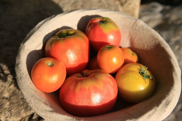 france, region midi pyrenees, tarn et garonne, varen, arnac, ferme de quyvie, sylvie et thierry bolmont, agriculture biologique, tomates, herbes aromatiques, alimentation, jardin, gite, colombier, ancien pigeonnier reconverti en hebergement saisonnier, tomates,