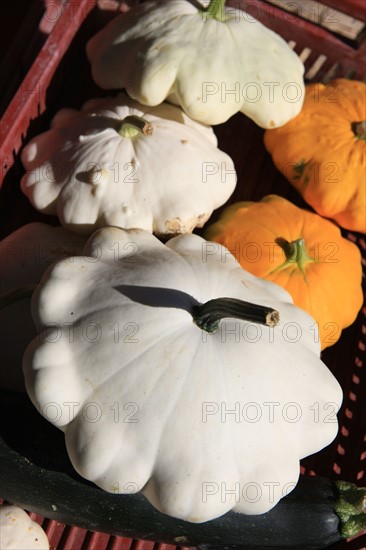 france, region midi pyrenees, tarn et garonne, varen, arnac, ferme de quyvie, sylvie et thierry bolmont, agriculture biologique, tomates, herbes aromatiques, alimentation, jardin, gite, colombier, patissons,