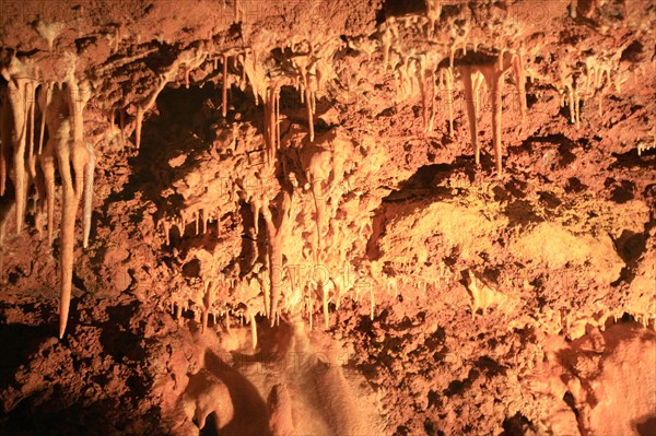 france, region midi pyrenees, tarn et garonne, 82, gorges de l'aveyron, sain antonin noble val, grotte du bosc, stalactites, concretions, speleologie, visites, tourisme,