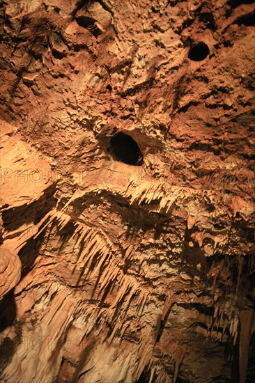 france, region midi pyrenees, tarn et garonne, 82, gorges de l'aveyron, sain antonin noble val, grotte du bosc, stalactites, concretions, speleologie, visites, tourisme,