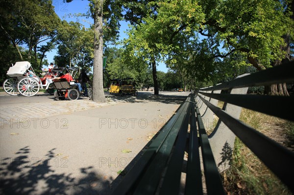 usa, etat de New York, New York City, Manhattan, Broadway, Central Park, jardin, building, promeneurs, banc,