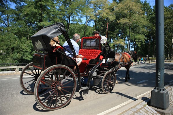 usa, etat de New York, New York City, Manhattan, Broadway, Central Park, jardin, building, promeneurs, caleche,