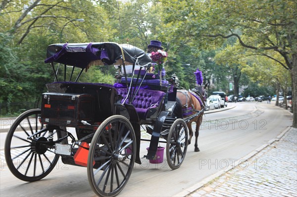 usa, etat de New York, New York City, Manhattan, Broadway, Central Park, jardin, building, promeneurs, caleche,