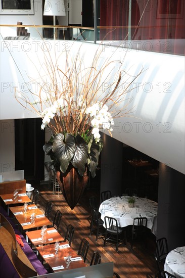 France, ile de france, paris 6e arrondissement, 82 rue mazarine, restaurant club l'alcazar, mezzanine, tables, verriere, 
Date : 2011-2012