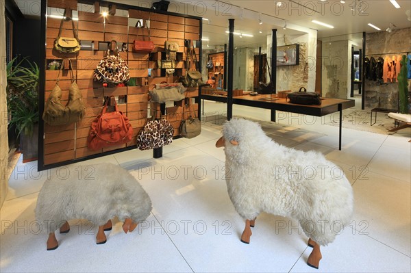 France, ile de france, paris 6e arrondissement, 1 rue jacob, boutique jerome dreyfuss, sacs, mode, 
Date : 2011-2012