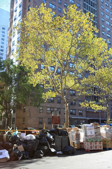 usa, state of New York, NYC, Manhattan, Chelsea, terrasse, building, arbre, ordures, poubelles,