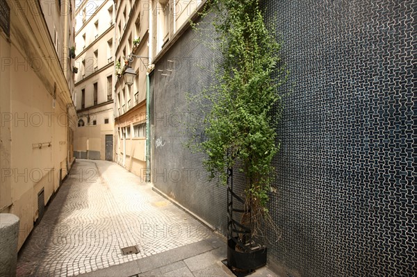 France, ile de france, paris 2e arrondissement, etienne marcel, passage de la trinite, paves, 
Date : 2011-2012