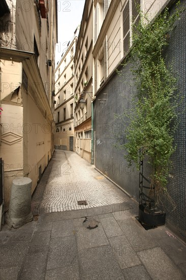 France, ile de france, paris 2e arrondissement, etienne marcel, passage de la trinite, paves, 
Date : 2011-2012