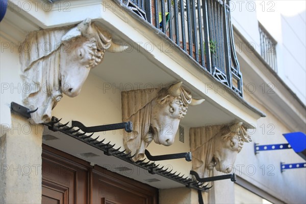 France, ile de france, paris 3e arrondissement, le marais, 67 rue de turenne, detail de tete de taureau soutenant le balcon, facade sur rue, immeuble,
Date : 2011-2012