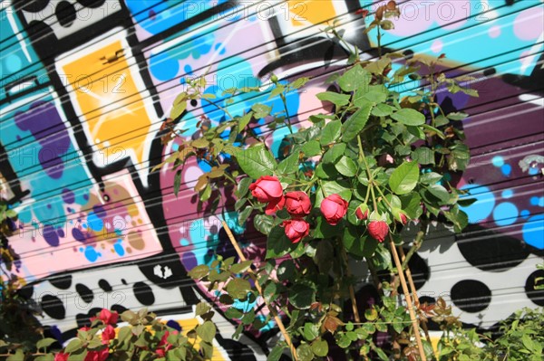 France, ile de france, paris, 3e arrondissement, rue vielle du temple, porte, fleurs, tags, graf, street art, bombes, pochoirs,
Date : 2011-2012