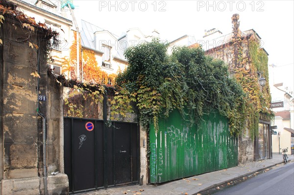 France, ile de france, paris 3e arrondissement, le marais, rue des archives, palissade et feuilles mortes, automne, 
Date : 2011-2012