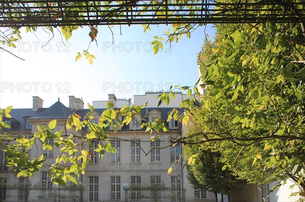 France, ile de france, paris 3e arrondissement, le marais, rue de hesse, jardin saint gilles, facade sur jardin de l'hotel grand veneur,
Date : 2011-2012