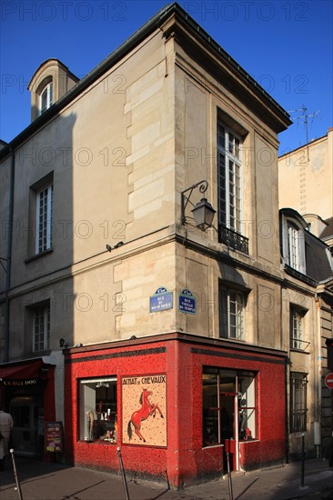France, ile de france, paris 4e arrondissement, le marais, angle rue du roi de sicile et rue vieille du temple, ancien commerce de chevaux, boucherie chevaline, facade, mosaique,
Date : 2011-2012