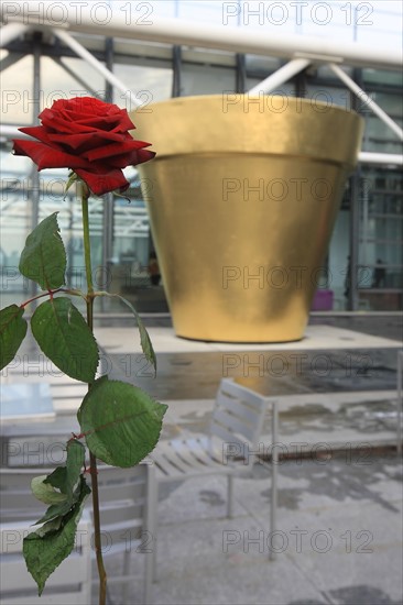 France, ile de france, paris 4 arrondissement, beaubourg, centre pompidou, architectes renzo piano et richard rogers, terrasse panoramique, pot de fleur de jean pierre raynaud, rose.
Date : 2011-2012