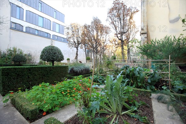 France, ile de france, paris 4e arrondissement, le marais, 21 rue des blancs manteaux, jardin conservatoire, legumes, fleurs.
Date : 2011-2012