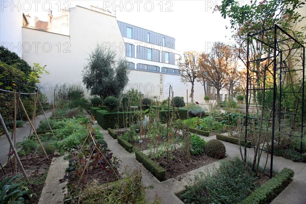 France, ile de france, paris 4e arrondissement, le marais, 21 rue des blancs manteaux, jardin conservatoire, legumes, fleurs.
Date : 2011-2012