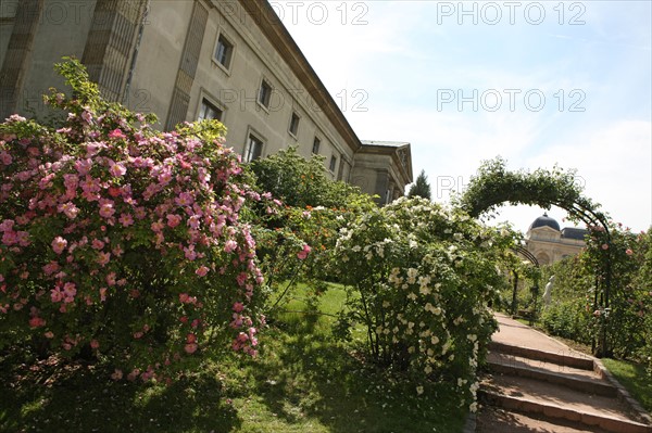 France, ile de france, paris 5e arrondissement, jardin des plantes.
Date : 2011-2012