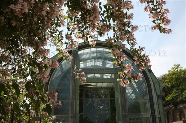 France, ile de france, paris 5e arrondissement, jardin des plantes, serres tropicales.
Date : 2011-2012