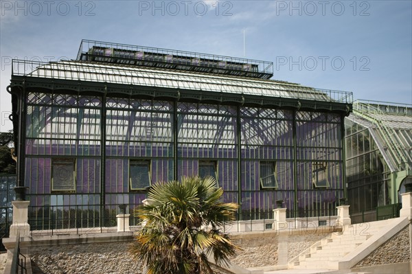France, ile de france, paris 5e arrondissement, jardin des plantes, serres tropicales.
Date : 2011-2012