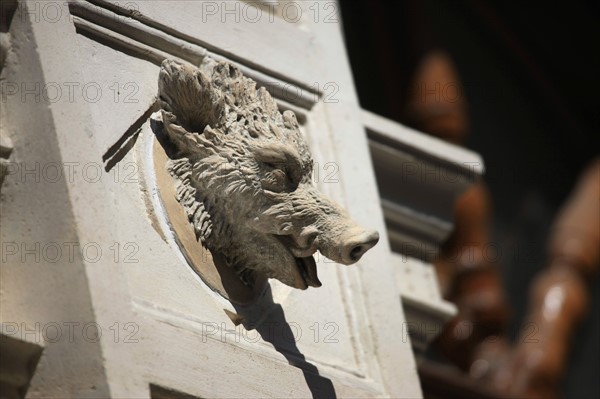 France, ile de france, paris 7e arrondissement, 14 rue vaneau, maison de 1835 neo renaissance, philibert delorme, architecture, decor, renovation, detail figure animaliere.
Date : 2011-2012