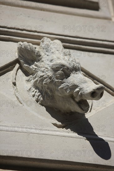 France, ile de france, paris 7e arrondissement, 14 rue vaneau, maison de 1835 neo renaissance, philibert delorme, architecture, decor, renovation, detail figure animaliere.
Date : 2011-2012